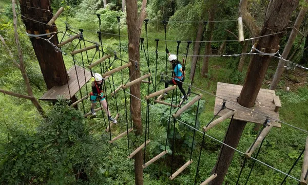 Sunshine Coast High Ropes and Zipline Adventure