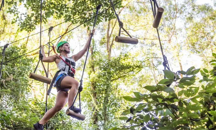 TreeTop Challenge Sunshine Coast - Book Now | Experience Oz