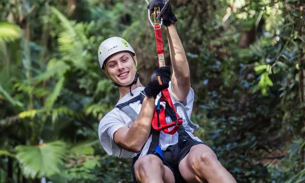 Sunshine Coast High Ropes and Zipline Adventure