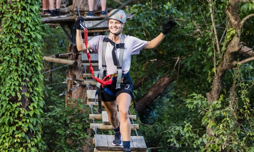 TreeTop Challenge Sunshine Coast - Book Now | Experience Oz