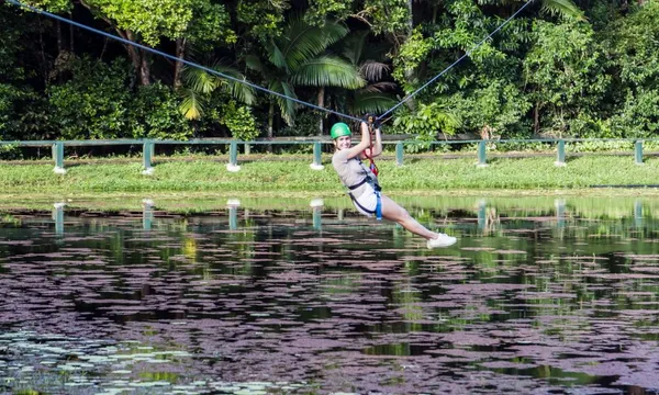 Sunshine Coast High Ropes and Zipline Adventure
