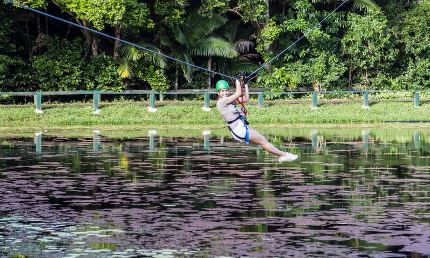 TreeTop Challenge Sunshine Coast - Book Now | Experience Oz