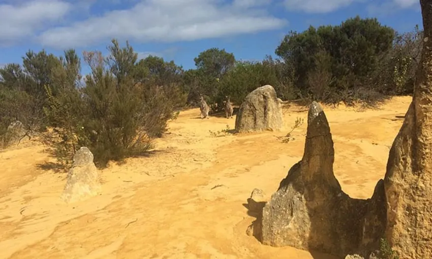 Scenic Flight Half Day Tour – Perth to Pinnacles Desert – For 2