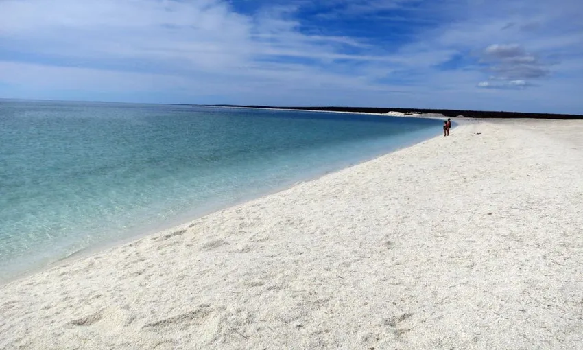 Perth Scenic Flight & Shark Bay Dolphin Tour, Full Day - For 2