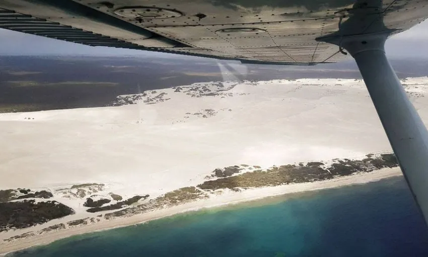 Perth Scenic Flight & Shark Bay Dolphin Tour, Full Day - For 2