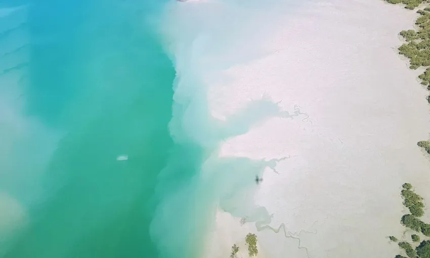 Perth Scenic Flight & Shark Bay Dolphin Tour, Full Day - For 2