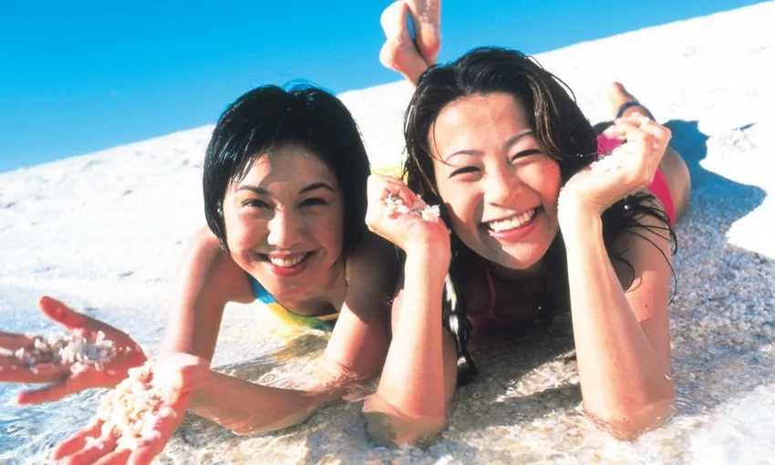 Perth Scenic Flight & Shark Bay Dolphin Tour, Full Day - For 2