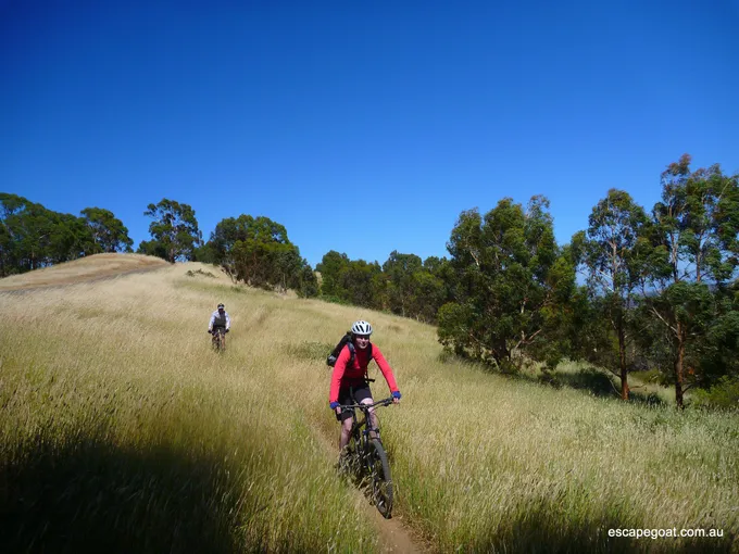 Mountain Bike Core Skills Course, 5 Hours - Adelaide