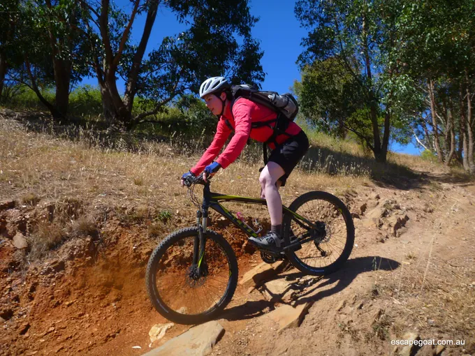 Mountain Bike Core Skills Course, 5 Hours - Adelaide