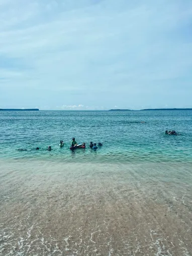 Snorkelling & Freediving Adventure, 2 Hours - Jervis Bay