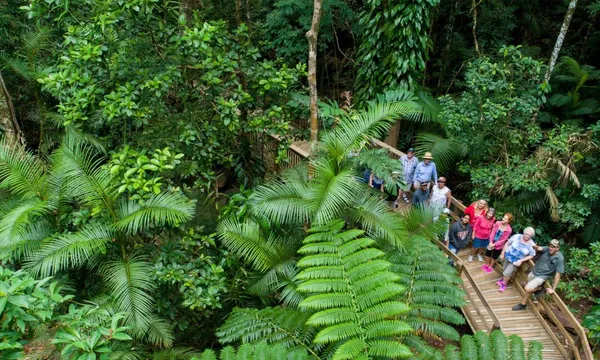 Reef & Rainforest Day Tour with Helicopter Flight - Cairns - For 2