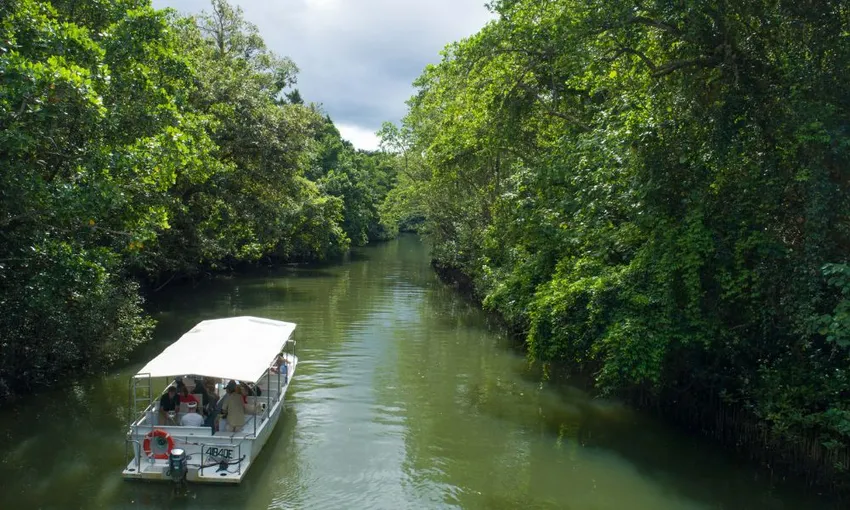 Reef & Rainforest Day Tour with Helicopter Flight - Cairns - For 2