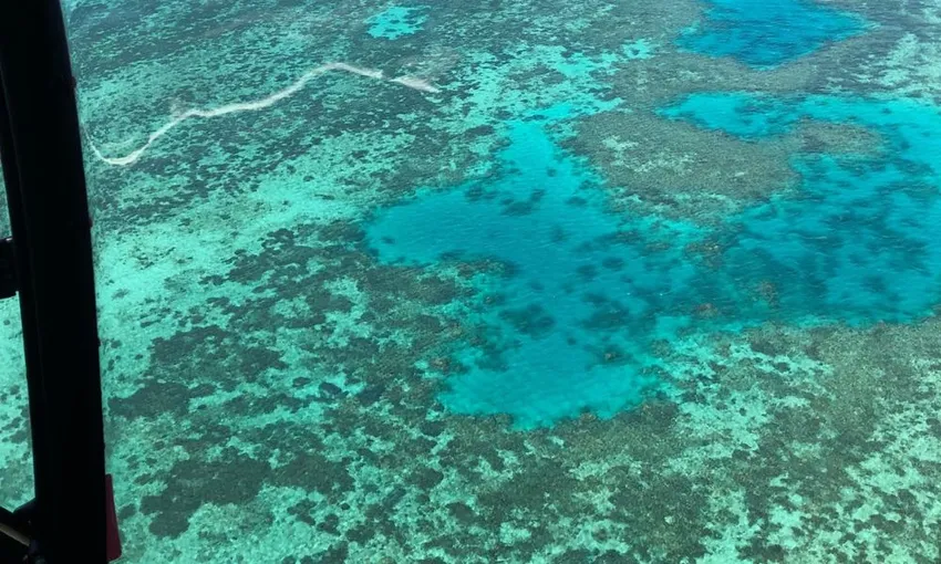 Great Barrier Reef Helicopter Flight, 30 Minutes - Port Douglas