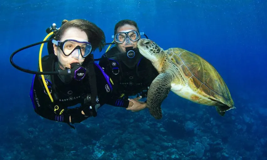 Cook Island Certified Scuba Diving with Turtles 
