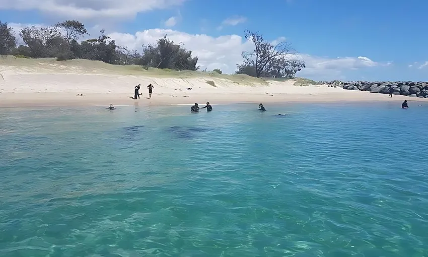 Cook Island Certified Scuba Diving with Turtles 