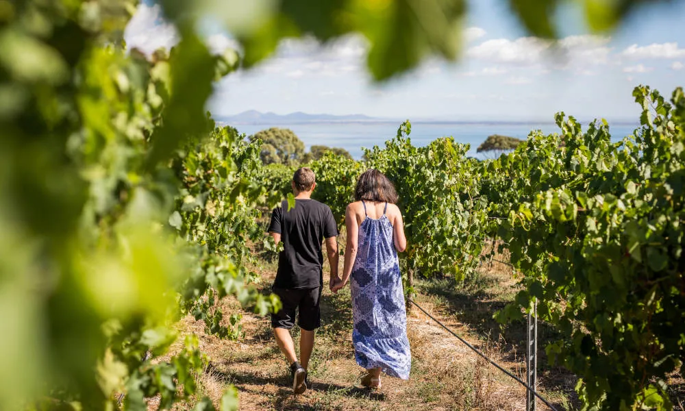 Melbourne Bay Food & Wine Trail - Book Now | Experience Oz-1