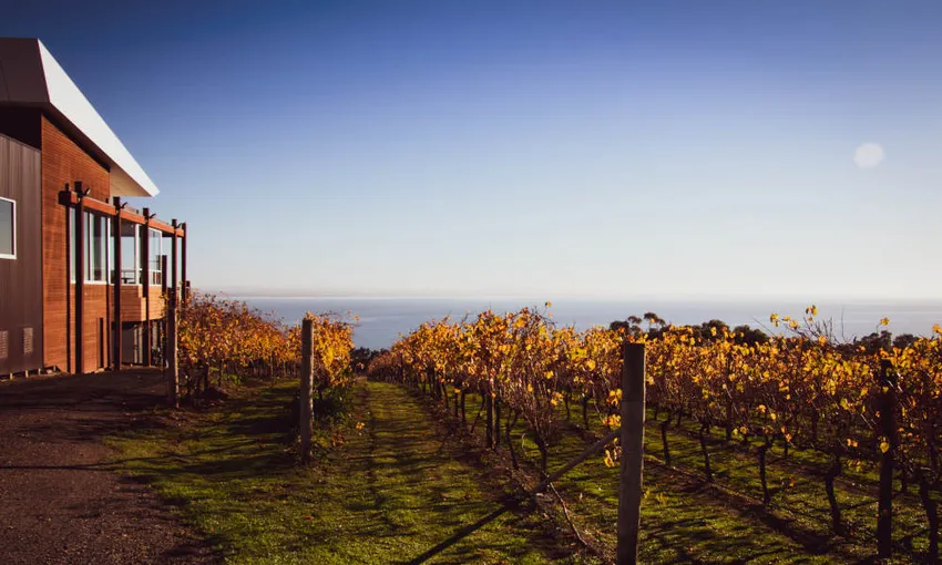 Melbourne Bay Food & Wine Trail - Book Now | Experience Oz