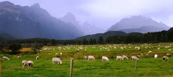 Half Day Scenic Glenorchy and Lord of the Rings Tour
