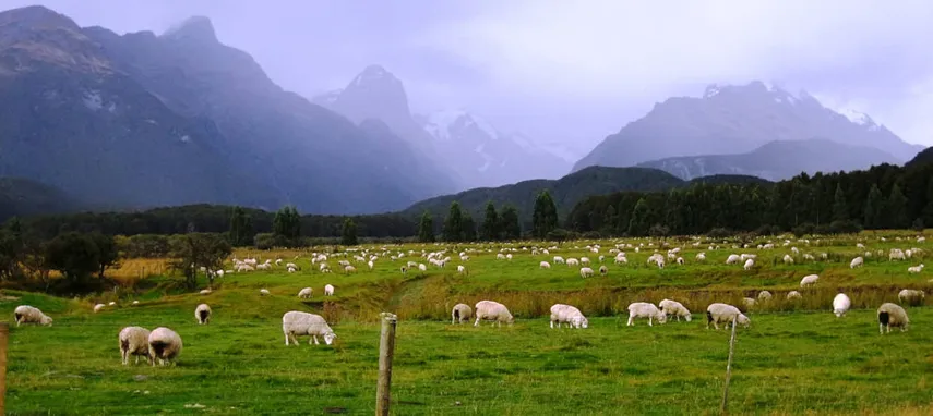 Glenorchy Lord of The Rings Tour - Book Now | Experience Oz
