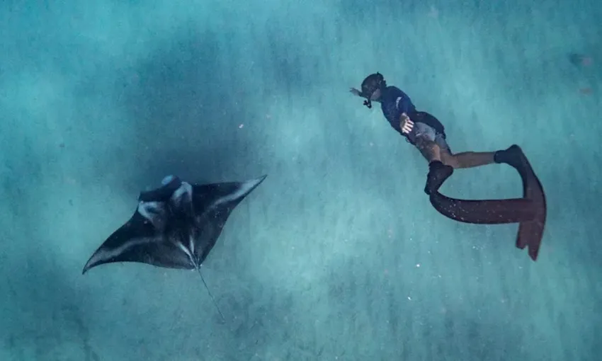 Ningaloo Reef Swim with Manta Rays, Full Day Snorkel Tour