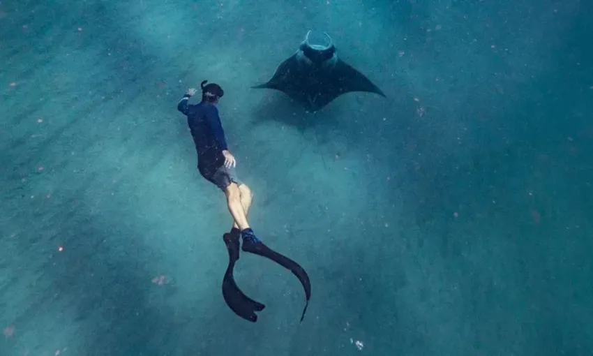 Ningaloo Reef Swim with Manta Rays, Full Day Snorkel Tour