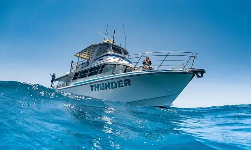 Ningaloo Reef Whale Watching, 3 Hours