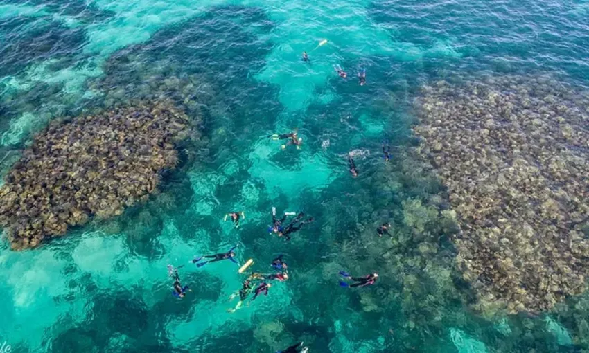 Coral Bay Glass Bottom Boat Turtle Viewing & Snorkel Tour, 3 Hours