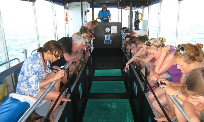 Coral Bay Glass Bottom Boat Turtle Viewing & Snorkel Tour, 3 Hours