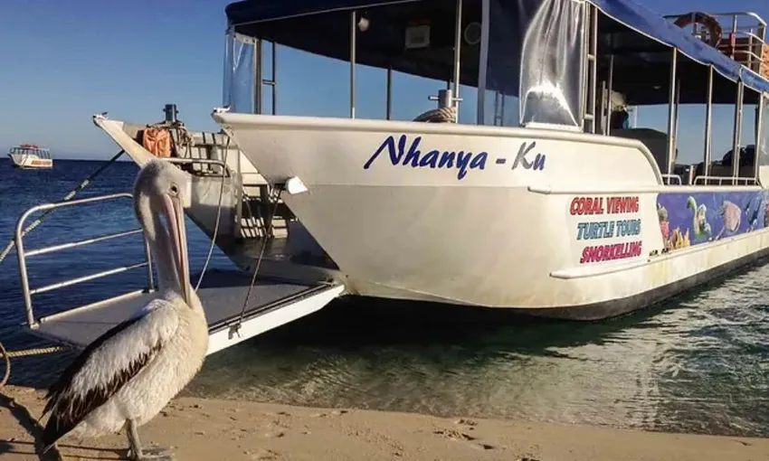 Ningaloo Reef Glass Bottom Boat & Snorkel Tour, 2 Hours