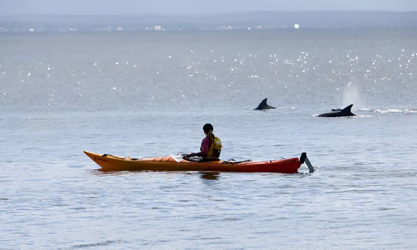 Jervis Bay Full Day Single Kayak Self-Guided Tour 