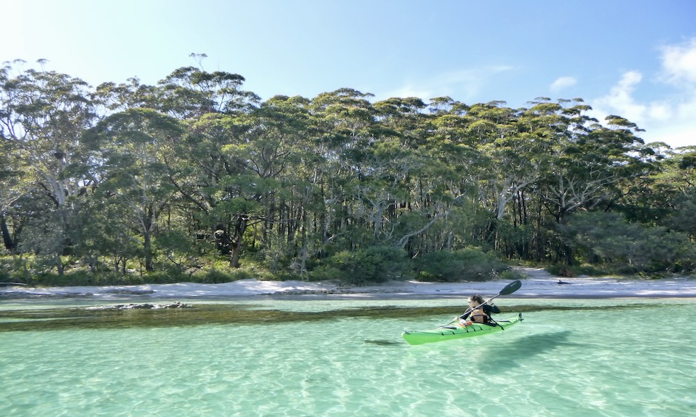 Jervis Bay Guided Sea Kayak Tour, 5 Hours 