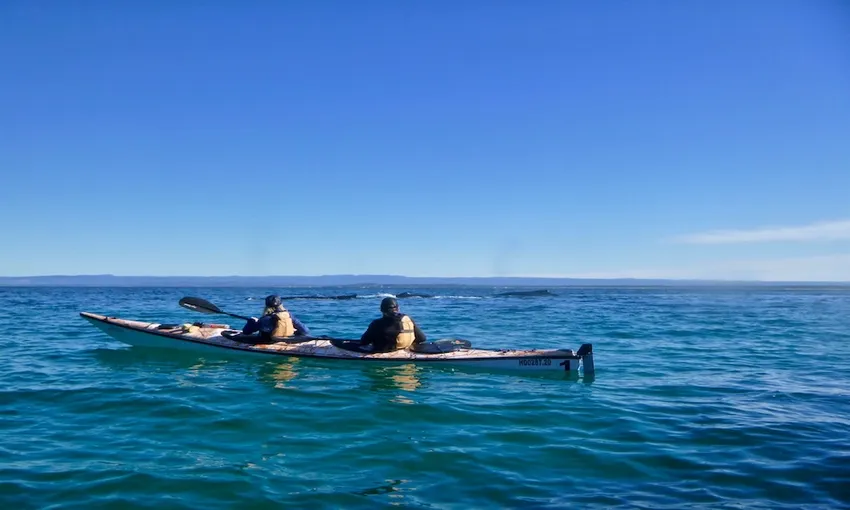 Jervis Bay Guided Sea Kayak Tour, 5 Hours 