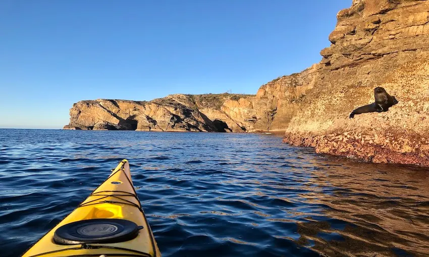 Jervis Bay Guided Sea Kayak Tour, 5 Hours 