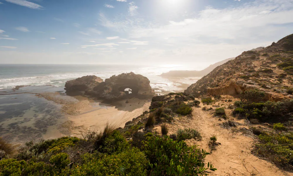 Melbourne Bay Sightseeing Tour & Cruise - Book Now | Experience Oz-4