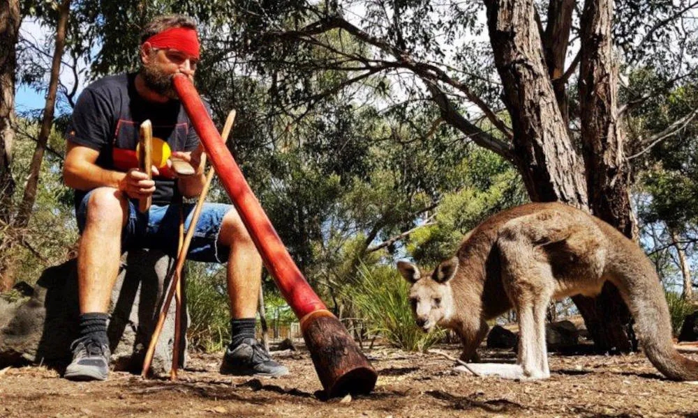 Melbourne Bay Sightseeing Tour & Cruise - Book Now | Experience Oz-5