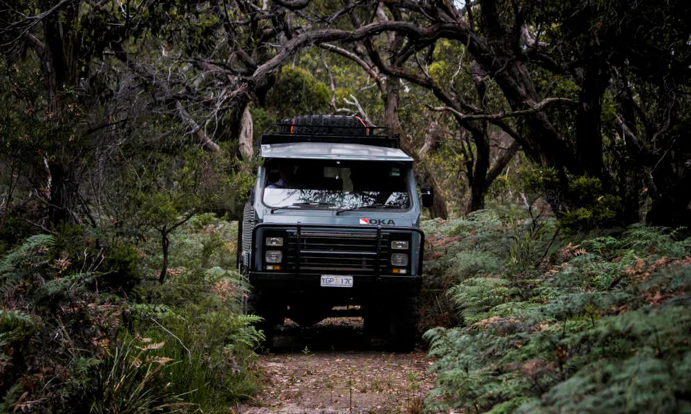 French Island & Penguin Island Wildlife Tour - Book Now | Experience Oz-2