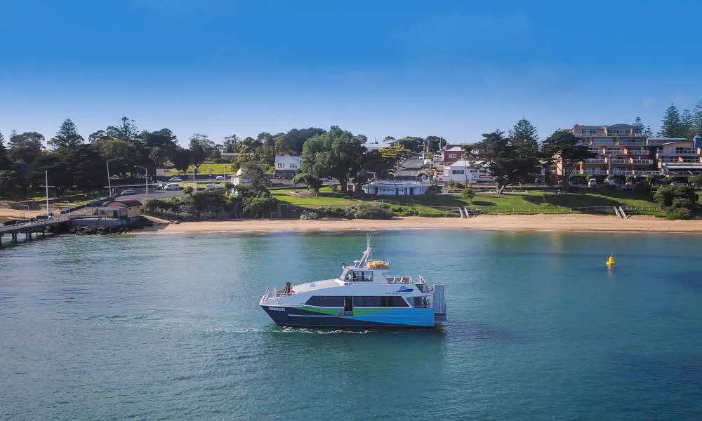 French Island & Penguin Island Wildlife Tour - Book Now | Experience Oz-3