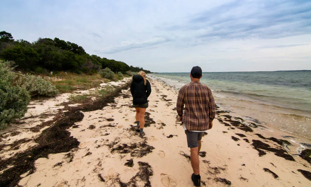 French Island & Penguin Island Wildlife Tour - Book Now | Experience Oz-4