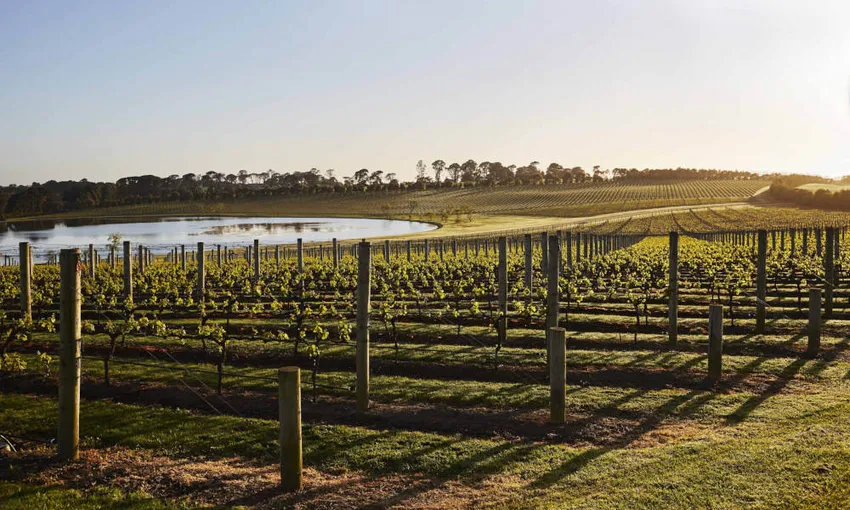 Mornington Peninsula Food & Wine Tasting Trail- Book Now | Experience Oz