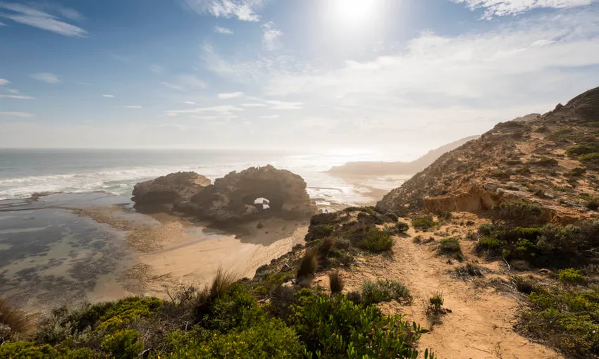 Mornington Peninsula Sightseeing Tour with Lunch - Book Now | Experience Oz