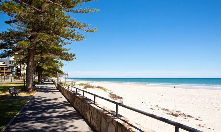 Adelaide Explorer Bike Tour with Brunch