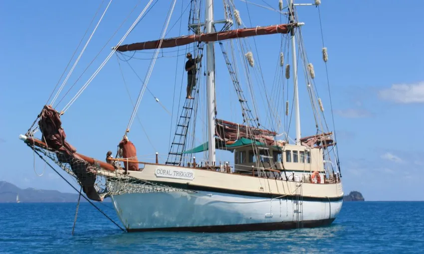 Sydney Tall Ship Whale Watching Cruise, 5 Hours