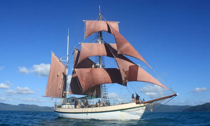 Sydney Tall Ship Whale Watching Cruise, 5 Hours