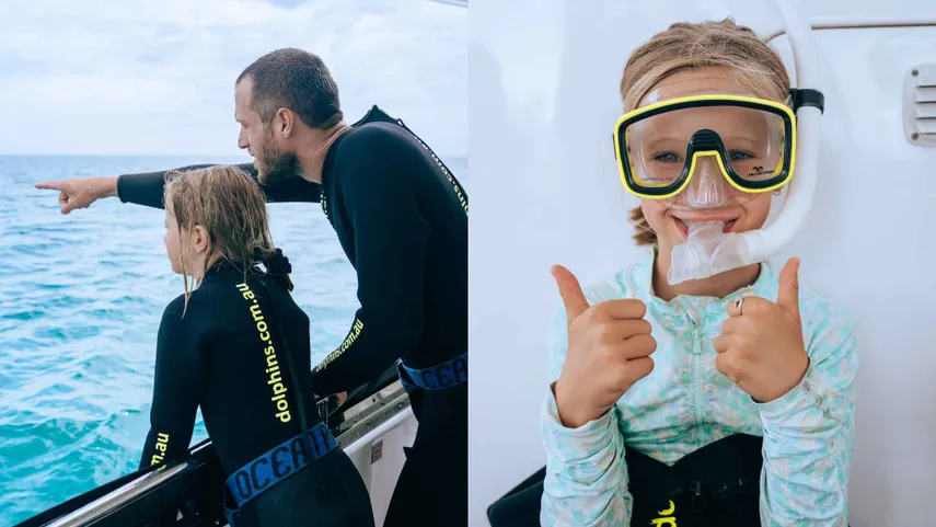 Shoalwater Swim with Dolphins Cruise - Book Now | Experience Oz