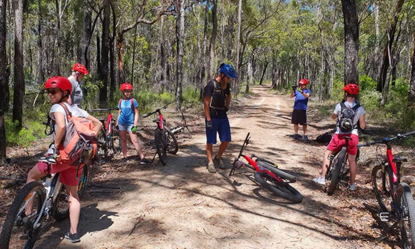 Blue Mountains Guided Half Day E-Bike Adventure 
