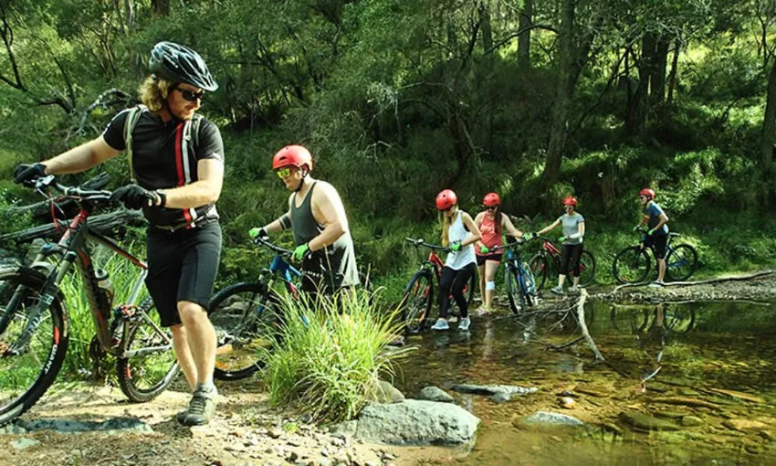 Blue Mountains Guided Half Day E-Bike Adventure 