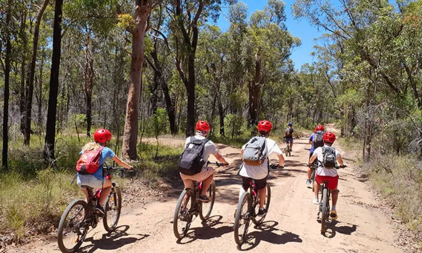 Blue Mountains Guided Half Day E-Bike Adventure 
