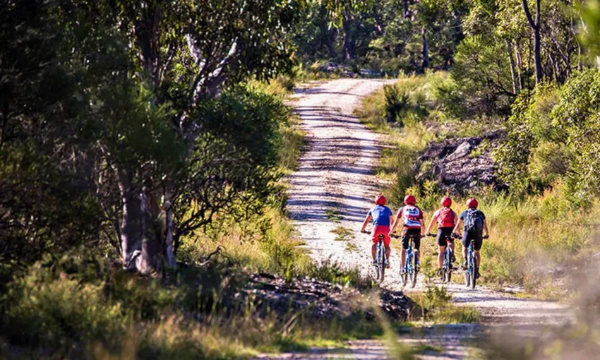Blue Mountains Guided Half Day E-Bike Adventure 