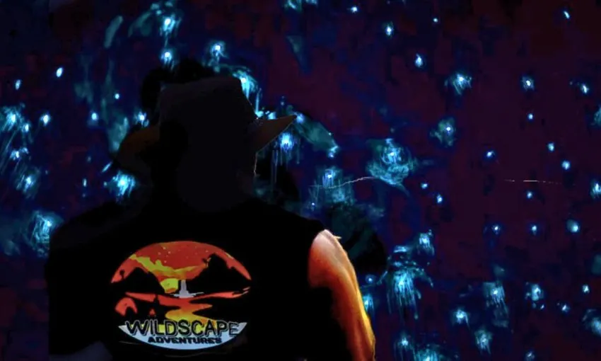 Blue Mountains Night Glow Worm Tour