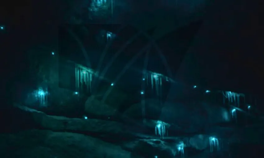 Blue Mountains Night Glow Worm Tour